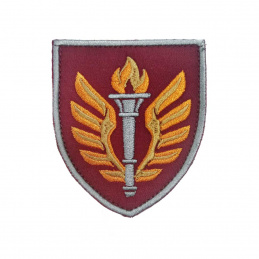 Шeвpoн вышитый 199 yчeбный...